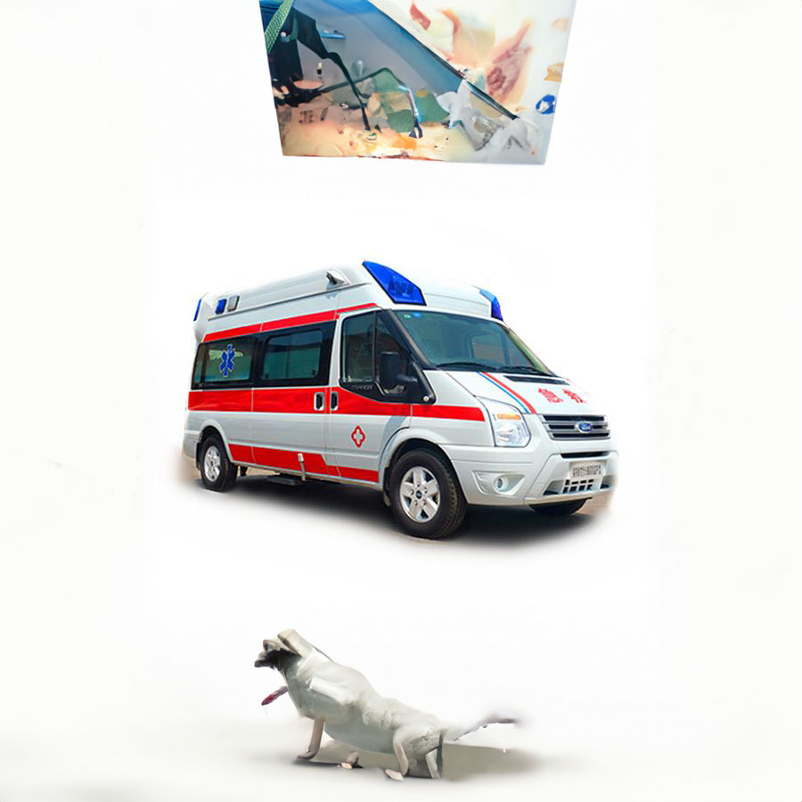 苏州租赁急救车电话